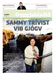 Síða 17