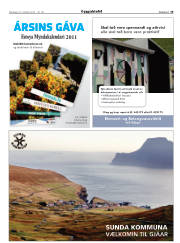 Síða 19