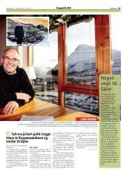 Síða 29