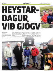 Síða 30