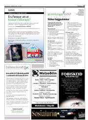 Síða 33