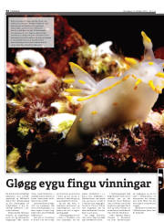 Síða 44
