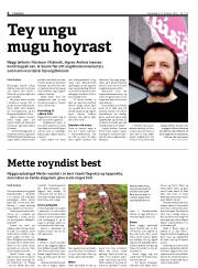 Síða 4