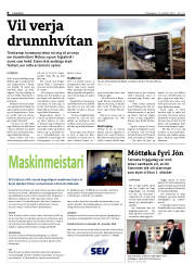 Síða 8