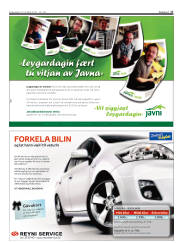 Síða 17