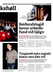 Síða 29