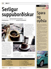 Síða 2