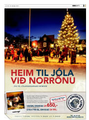 Síða 3