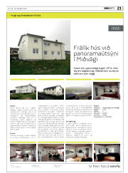 Síða 21
