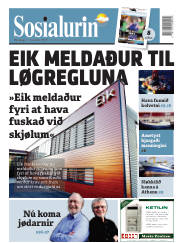 Síða 1