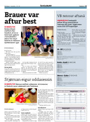 Síða 21