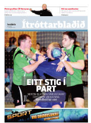 Síða 17