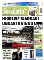 Síða 1