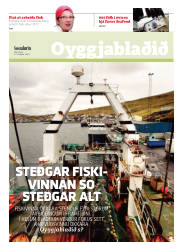 Síða 17
