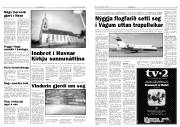 Síða 3