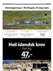 Síða 3