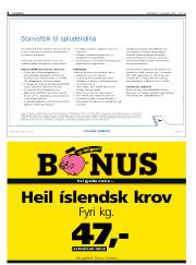 Síða 8
