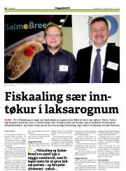 Síða 30