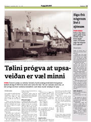 Síða 33