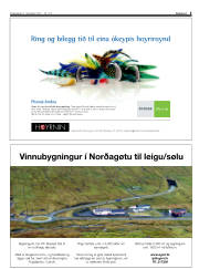 Síða 5