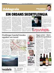 Síða 2