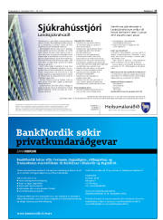 Síða 17