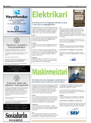 Síða 22
