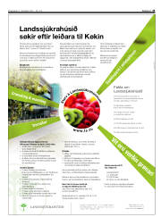 Síða 23