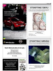Síða 25