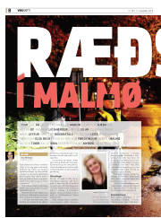 Síða 8
