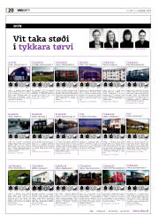 Síða 20