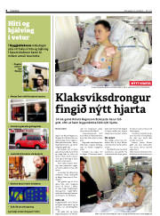 Síða 6