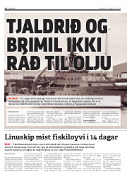 Síða 10