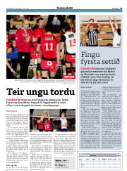 Síða 21