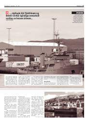 Síða 11