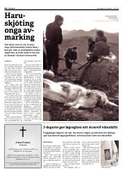 Síða 12