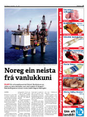 Síða 15