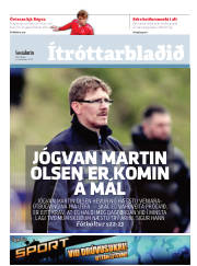 Síða 17