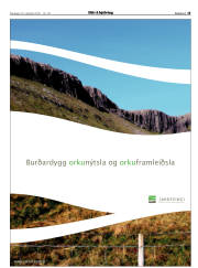 Síða 15