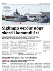 Síða 10