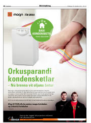 Síða 20