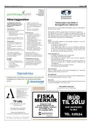 Síða 41