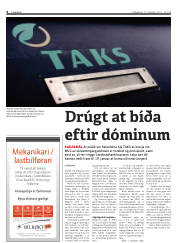 Síða 8