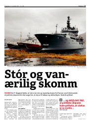Síða 11