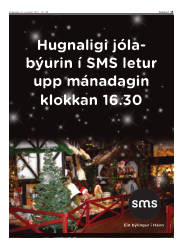 Síða 13