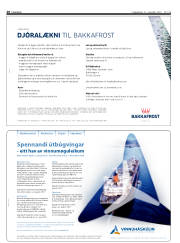 Síða 20