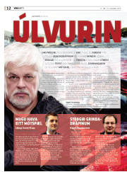 Síða 12