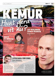 Síða 13