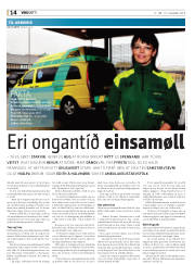 Síða 14