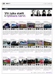 Síða 20